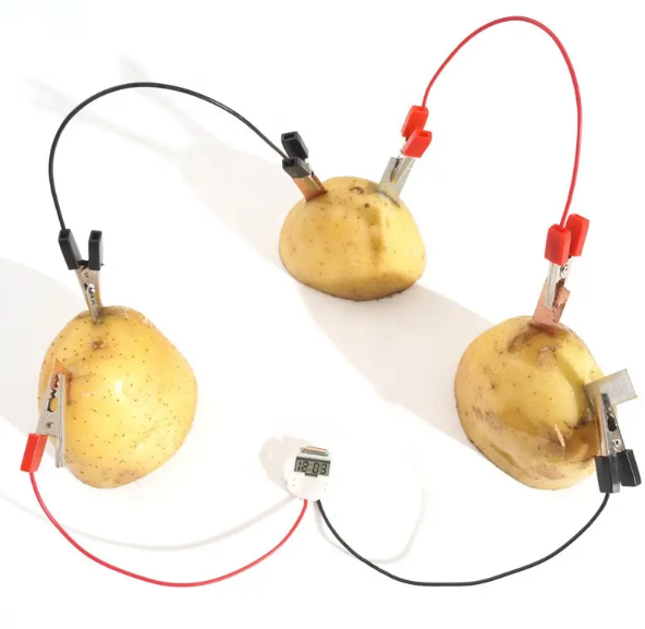 Kids Science and Engineering kit - Fruit Power Generation Experiment