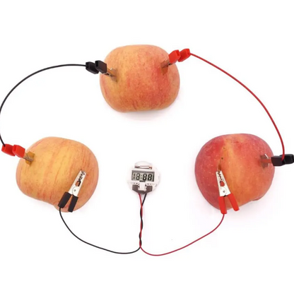 Kids Science and Engineering kit - Fruit Power Generation Experiment