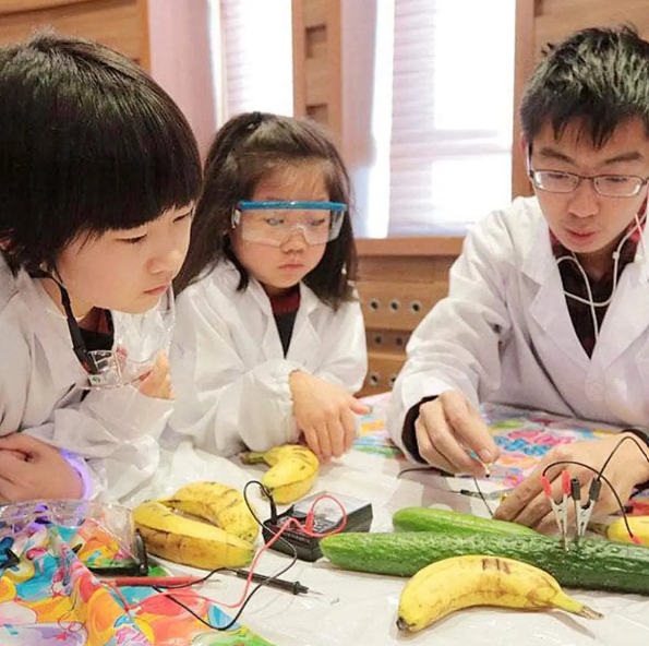Kids Science and Engineering kit - Fruit Power Generation Experiment