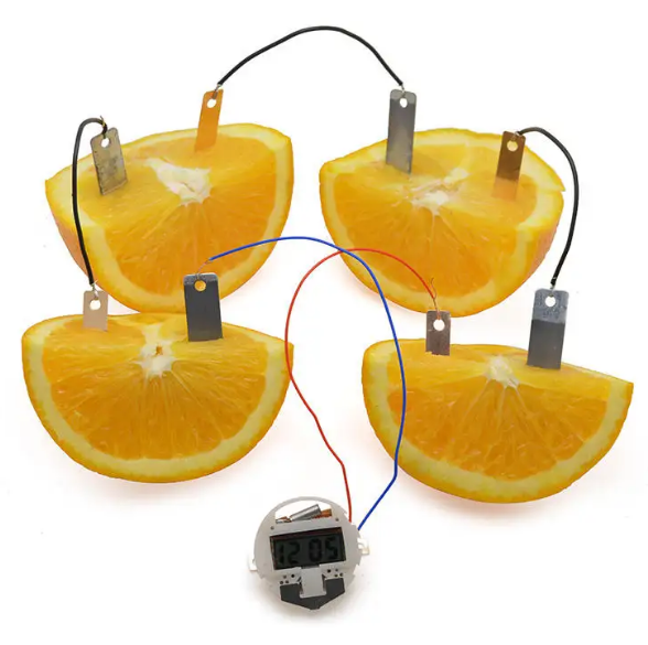 Kids Science and Engineering kit - Fruit Power Generation Experiment